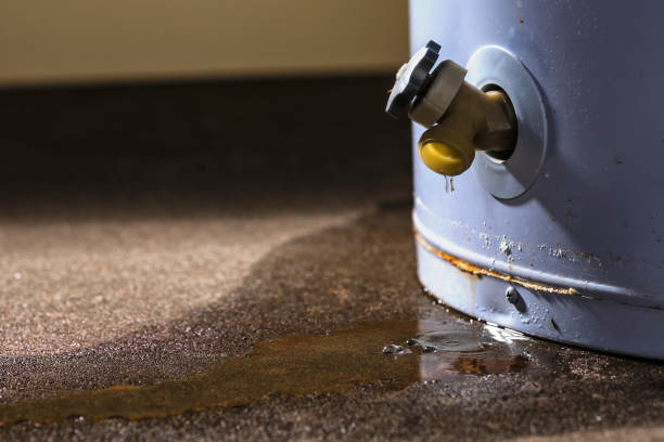 Professional Water damage restoration in South Wilton, CT