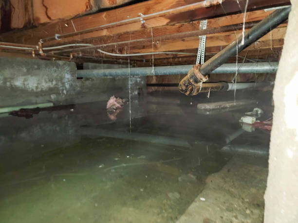 Best Water damage restoration cost  in South Wilton, CT