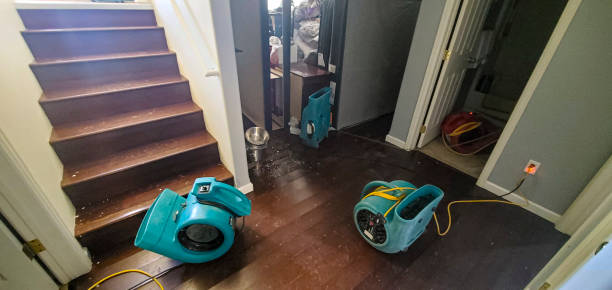 Reliable South Wilton, CT Water damage restoration Solutions