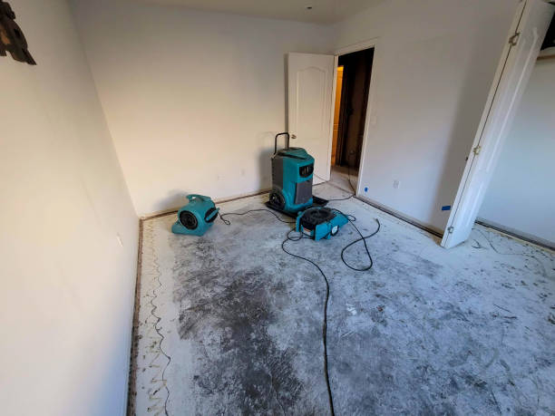 Best Flooded house restoration  in South Wilton, CT