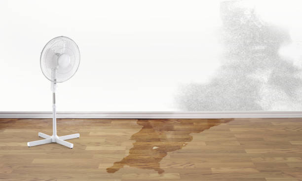 Water damage restoration experts in South Wilton, CT