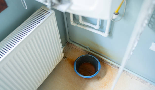 Best Carpet water damage restoration  in South Wilton, CT
