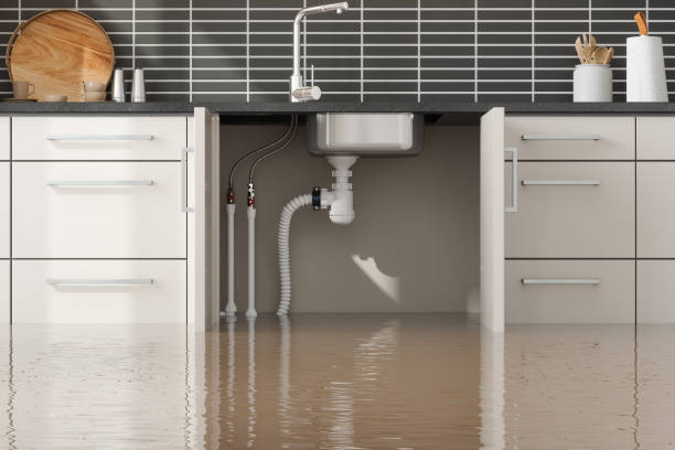 Water damage restoration experts in South Wilton, CT