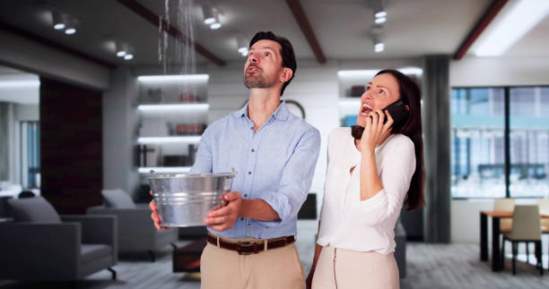  South Wilton, CT Water damage restoration Pros