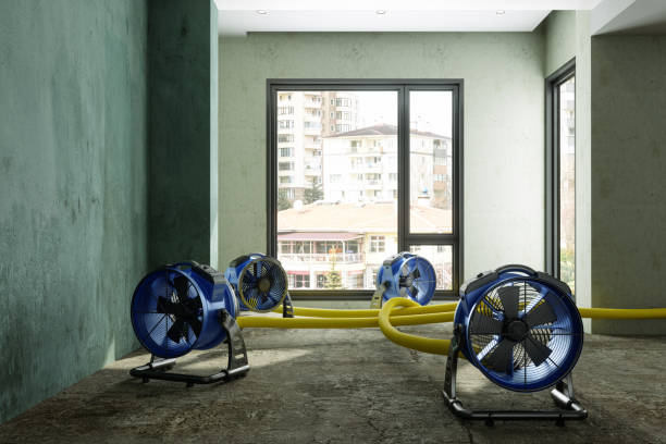 Best Mold removal after water damage  in South Wilton, CT